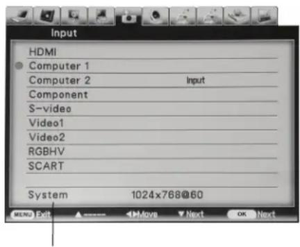 Input HDMI Computer 1 Computer 2 Input Component S-video Video1 Video2 RGBHV SCART System 1024x768@60 MENU Exit Move Next OK Next