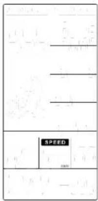 SPEED 2024