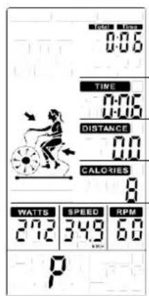 0:06 TIME 0:06 DISTANCE 0.0 CALORIES 8 WATTS SPEED RPM 272 349 60 P