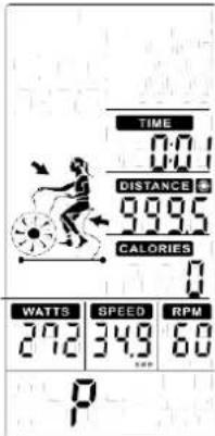 TIME 0.01 DISTANCE 999.5 CALORIES 0 WATTS 272 SPEED 349 RPM 60 P