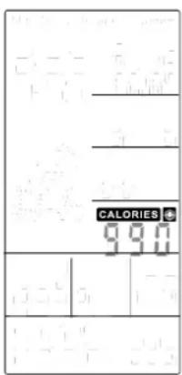 CALORIES 9911