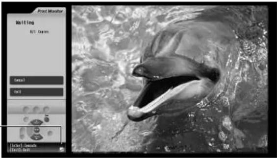 Black-and-white photo of a dolphin swimming in water, captured with a Print Monitor interface (no text on the image itself)