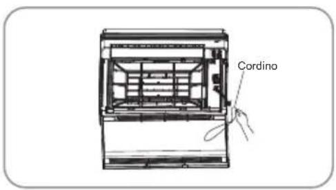 Cordino