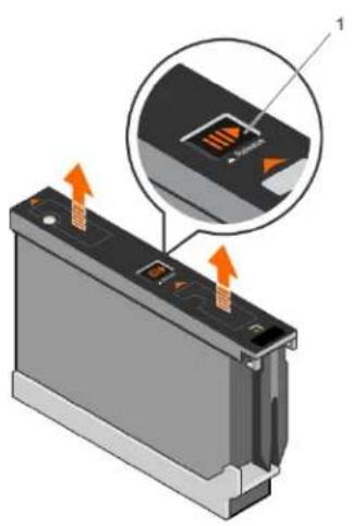DELL EqualLogic PS6610E - Entfernen von Festplattenlaufwerken - 1