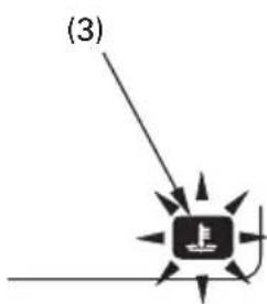 (3)