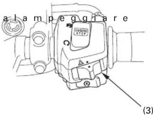 a lam p e g g i a r e (3)
