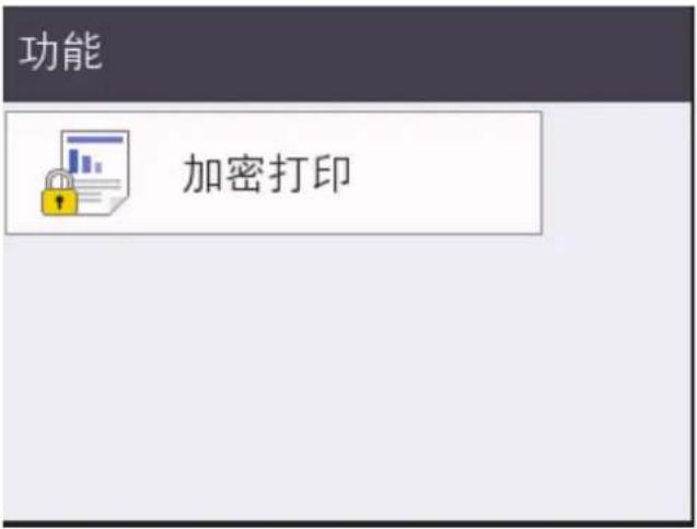 功能 加密打印