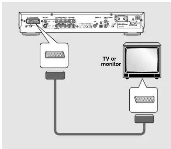 TV or monitor