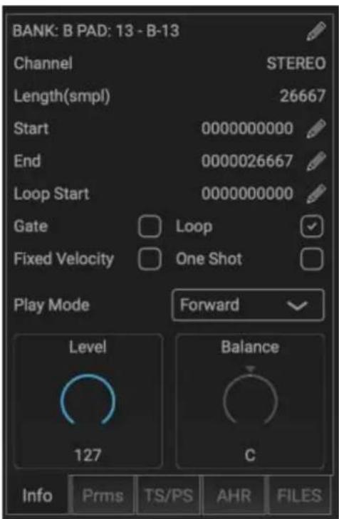 BANK: B PAD: 13 - B-13 Channel STEREO Length(smpl) 26667 Start 0000000000 End 0000026667 Loop Start 0000000000 Gate Loop Fixed Velocity One Shot Play Mode Forward Level Balance 127 C Info Prms TS/PS AHR FILES