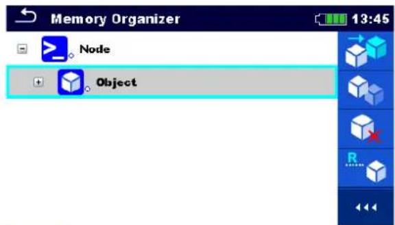 Memory Organizer Node Object 13:45