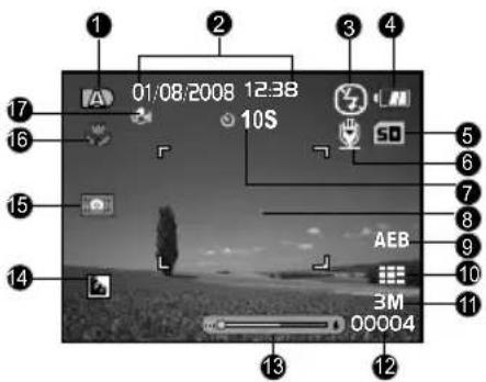 01:08:2008 12:38 10S AEB 3M 00004