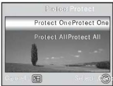 Protect Protect Protect OneProtect One Protect AllProtect All Cancel Select Options