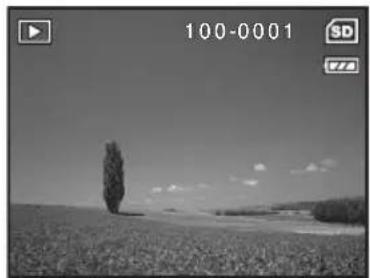 MINOX DC 6022 - Viewing Images - 3