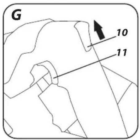 G 10 11