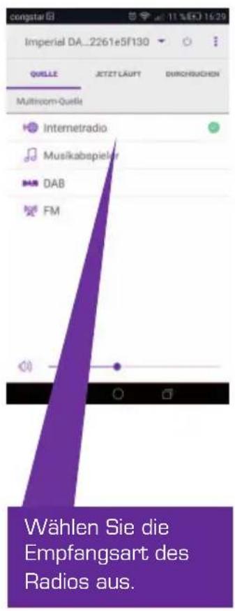 constar EI Imperial DA_2261e5F130 QUILLE JETZT LÄUFT BIRCHBUCHEN Multivom-Quelle Internetradio Musikabepieler DAB FM Wählen Sie die Empfangsart des Radios aus.