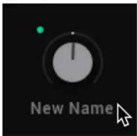 New Name