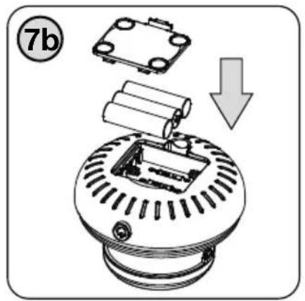 7b