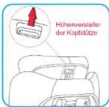 Höhenversteller der Kopfstütze