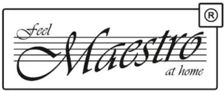 Maestro MR950-9 - Reciclarea - 1
