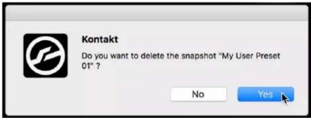 Kontakt Do you want to delete the snapshot "My User Preset 01" ? No Yes