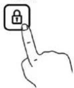 Thermex TH1NC 60 - Uso de la placa: - 6