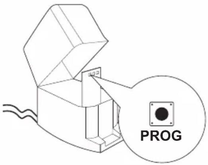 PROG