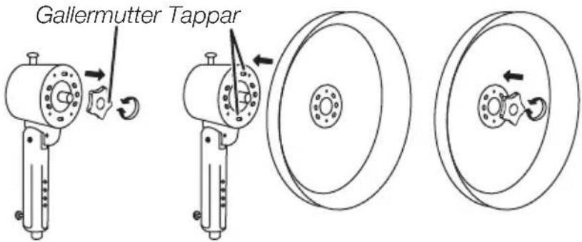 Gallermutter Tappar