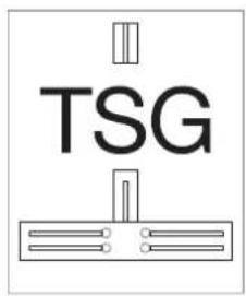 TSG