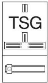 TSG