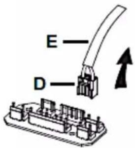 E D