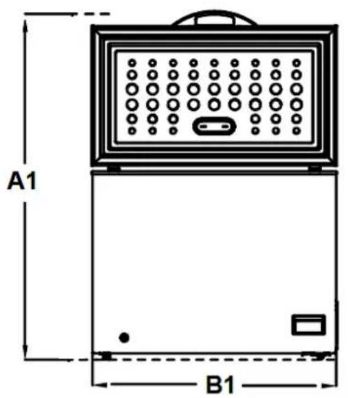 A1 B1