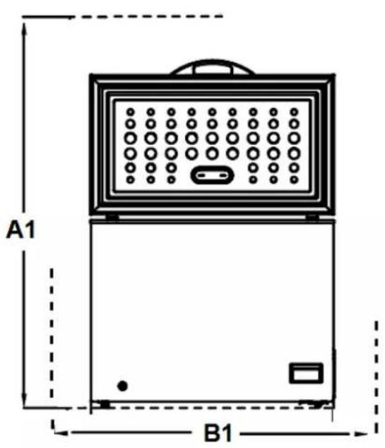 A1 B1