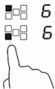 6 6