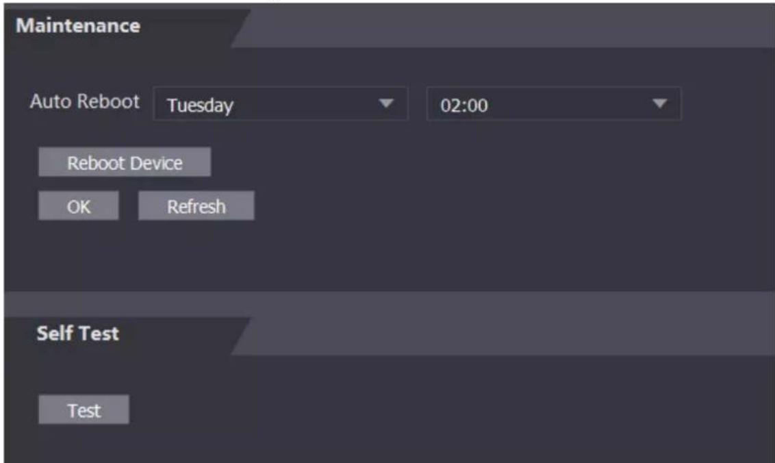 Maintenance Auto Reboot Tuesday 02:00 Reboot Device OK Refresh Self Test Test
