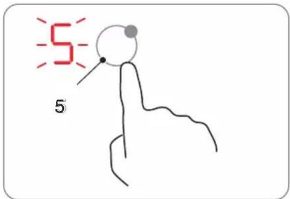 5 5