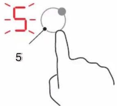 5 5