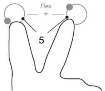 Flex + 5