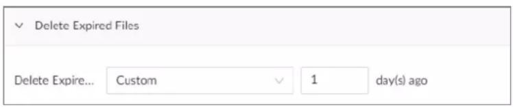 Delete Expired Files Delete Expire... Custom 1 day(s) ago
