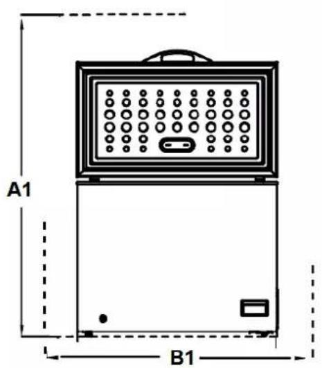 A1 B1