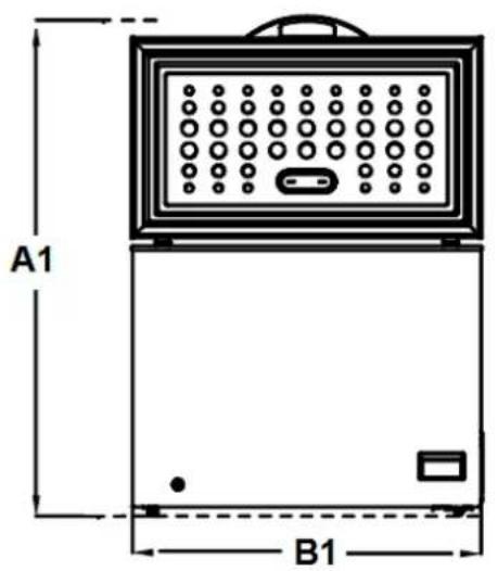 A1 B1