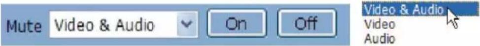 Mute Video & Audio On Off Video & Audio Video Audio
