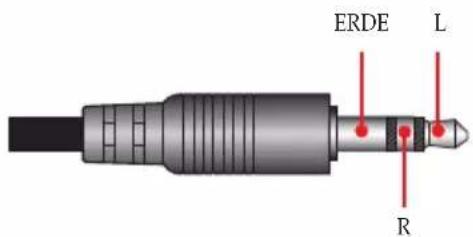 ERDE L R