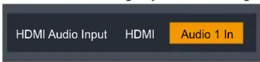 HDMI Audio Input HDMI Audio 1 In