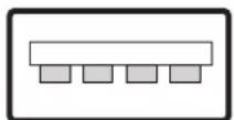 Eurolite LED Color Curtain - Prahtlose ΠMX-Übertragung mit QuickΠMX - 1