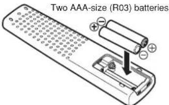 Two AAA-size (R03) batteries