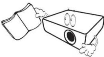 BENQ LW650 - Important safety instructions - 1