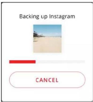 Backing up Instagram CANCEL