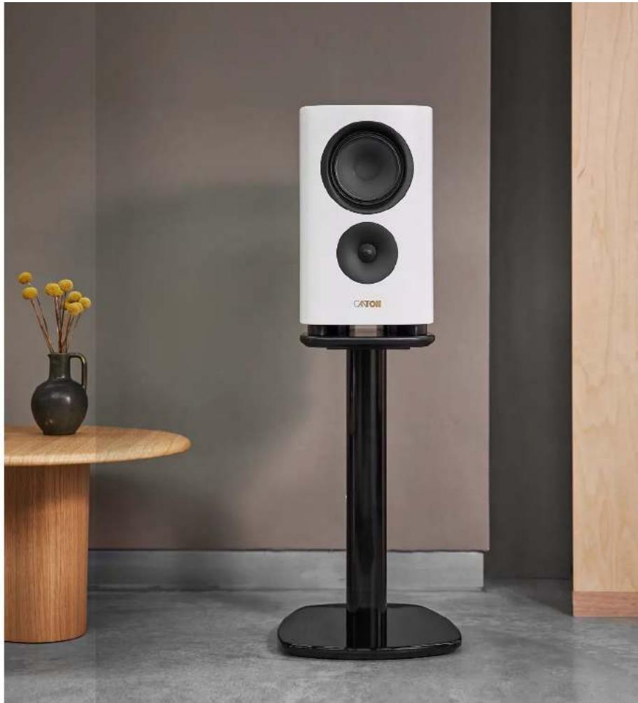 CANTON Reference 1 - Reference LS - 3