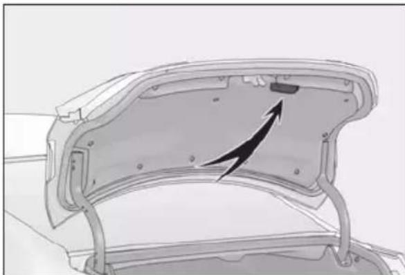 LEXUS RC F (2024) - Trunk grip - 1