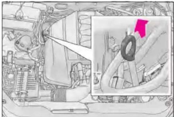 LEXUS RC F (2024) - Checking the engine oil - 1